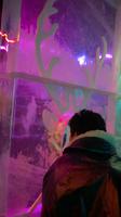 Ice Bar