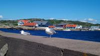 Insel Marstrand 2