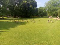 Der Park in Kiel