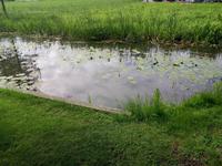 Ein Teich neben dem Schloss 