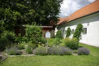 Gotland_Romakloster (1)