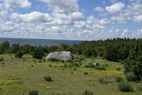 Gotland_Sankt_Olofsholm_Naturreservat (4)