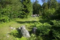 Gotland_Tofta_Schiffssetzung (2)