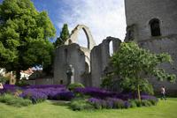 Gotland_Visby_Trinitatis (2)