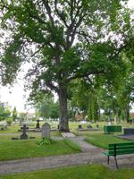 Mariefred_Tucholskygrab (2)