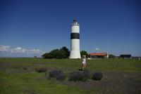 Öland_Südkap_Langer_Jan (1)