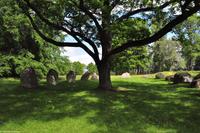 Radreise Schweden - Eberhardt-Travel - Reiseleiter Martin Büchner-0638