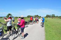 Radreise Schweden - Eberhardt-Travel - Reiseleiter Martin Büchner-1236