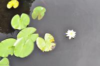 Radreise Schweden - Eberhardt-Travel - Reiseleiter Martin Büchner-1399