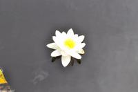 Radreise Schweden - Eberhardt-Travel - Reiseleiter Martin Büchner-1403