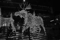 Winterliches Stockholm