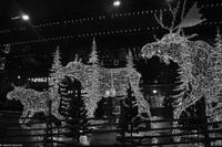 Winterliches Stockholm