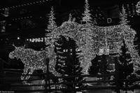 Winterliches Stockholm