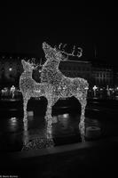 Winterliches Stockholm