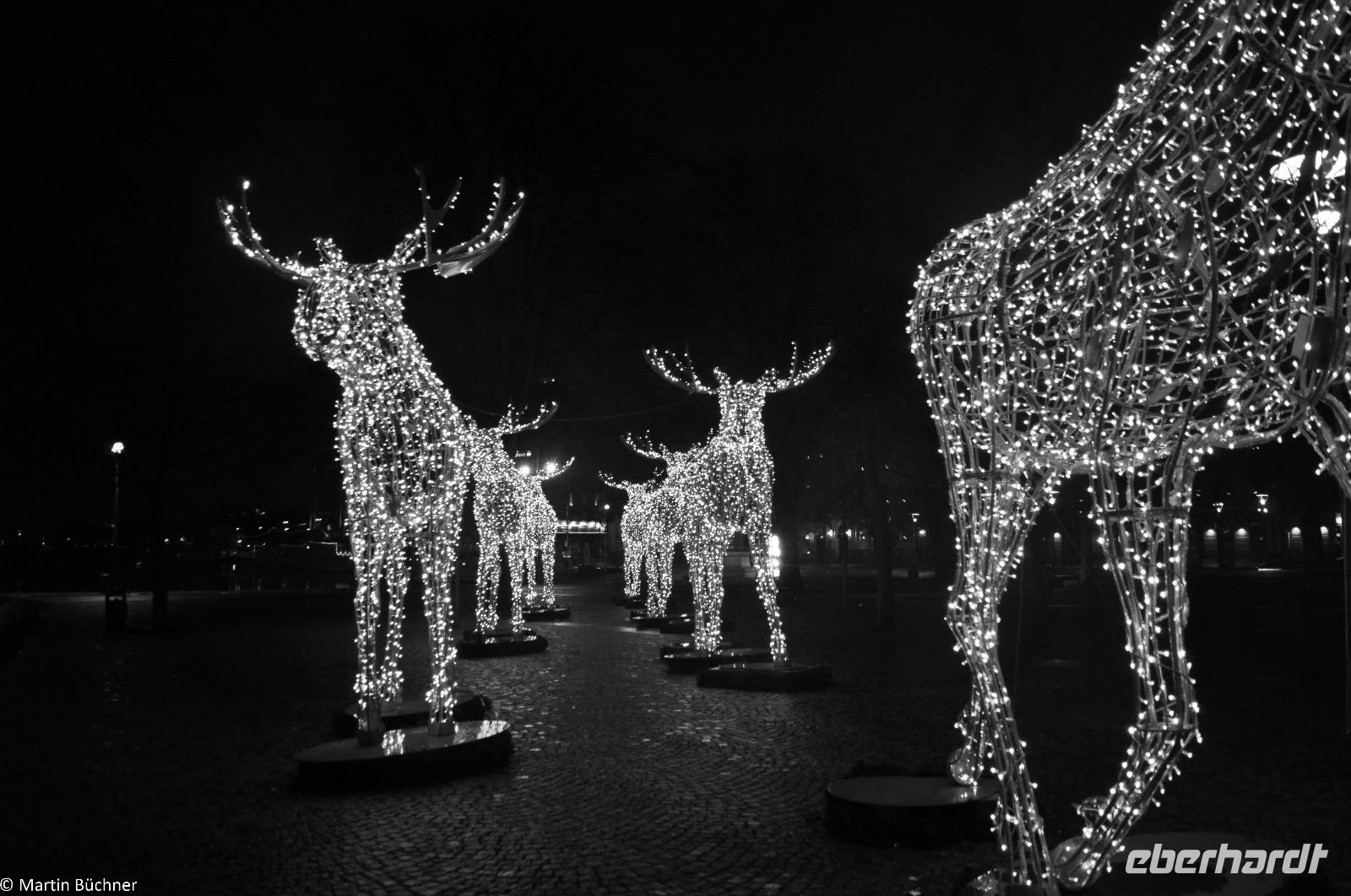 Winterliches Stockholm - Elche