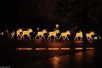 Winterliches Stockholm - Elche