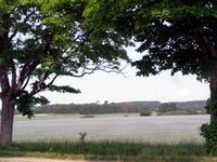 Landschaft am Götakanal