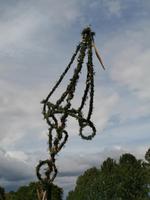 Midsommarafton Stockholm-Maibaum wird aufgerichtet