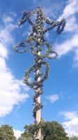Stockholm (Freilichtmuseum Skansen - Maibaum zum Mittsommerfest)