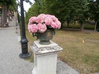 Chinesisches Lustschlösschen