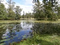 Englischer Garten Schloss Drottningholm