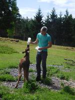 Grönase_Elchpark (2)