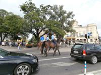 Polizei auf den Pferden