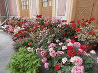 Schloss Drottningholm Chinesischer Pavillon