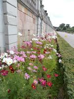 Schloss Drottningholm