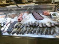 Stockholm Salu Hallen