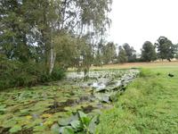 Schloss Drottningholm