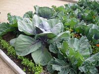 Garten im Schloss Läckö