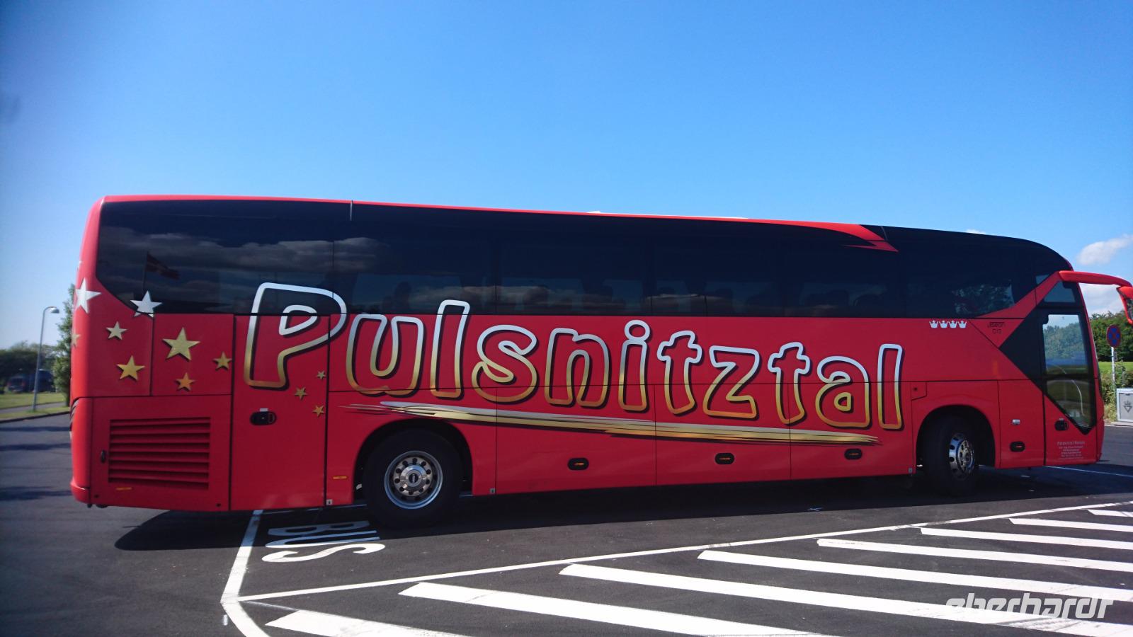 Die feuerrote Hummel