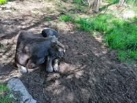 IMG 20190623 124520kostaelchpark