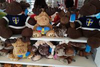 1212 Noch nicht einmal vier Stunden in Schweden und schon sehen wir die ersten Elche