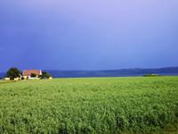 1250 Die ersten Kilometer über die Insel führen durch üppige Felder