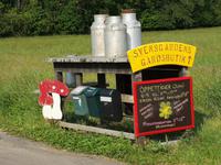 1266 Symbole des Landlebens am Wegesrand – und man beachte, tagesaktuell!