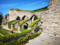 1408 Der Bau aus der Mitte des 12.Jahrhunderts war das erste Zisterzienserkloster in Skandinavien und das zweitälteste Kloster in Schweden