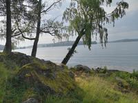 1728 Blick auf den südlichen Teil des Mälarensees 