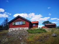 2230 Farbenfrohe Landhäuser am Wegesrand