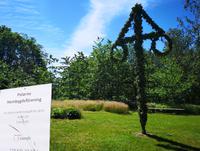 2366 Auf dem Versammlungsplatz des Heimatvereins steht noch der geschmückte Pfahl vom  Mittsommernachtsfest