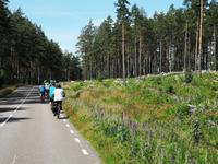 2418 Einsame Landstraßen zu  unserer großen Freude
