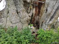 2508 Ein Blitzeinschlag hat schwere Schäden verursacht