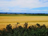 2698 Das Meer immer in Sichtweite