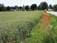 2744 In Hellby, werden die Räder wieder in den Anhänger geladen 
