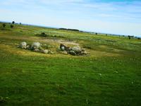 2746 Das Areal „Großes Alvar“