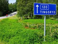 2948 Ein kurzes Stück auf der Straße, bevor wir auf Waldwegen weiter fahren