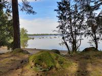 2958 Der Weg nach Hovmantorp durch Wälder und entlang einiger Seen
