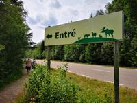 3072 Zum Abschluß der Reise besuchen wir den Elchpark