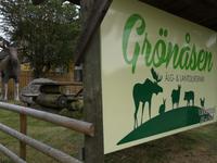 3074 Einer der grössten Elchparks Schwedens - Der Grönåsen Elch und Landtierpark